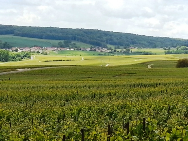 Champagne HAZARD-DEVAVRY - Vue de saint Eugne